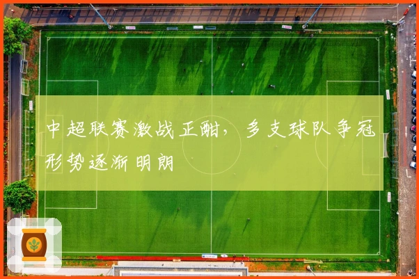 中超联赛激战正酣，多支球队争冠形势逐渐明朗